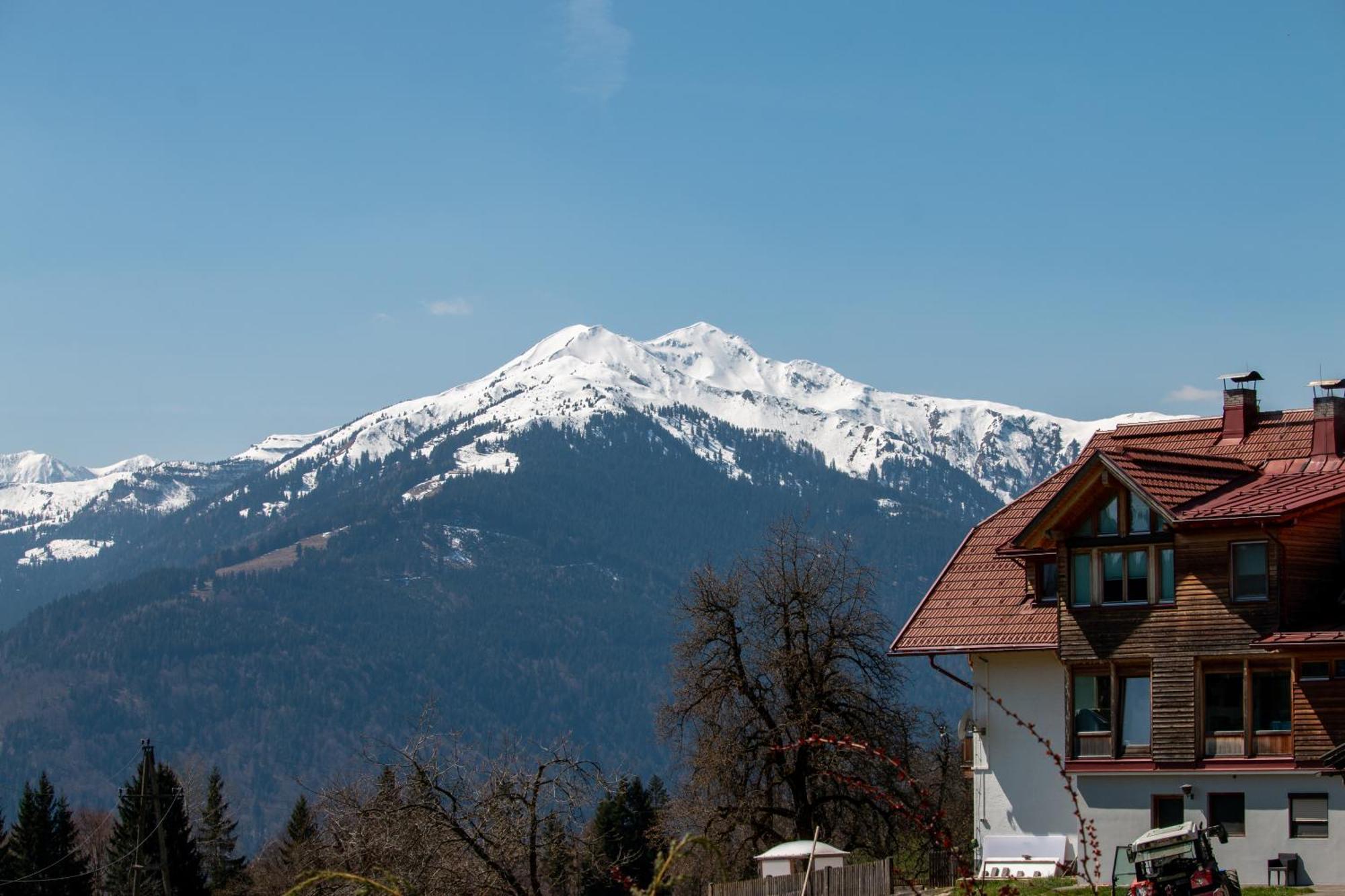 Urlaub Wie Frueher Bei Oma 헤르마고 외부 사진